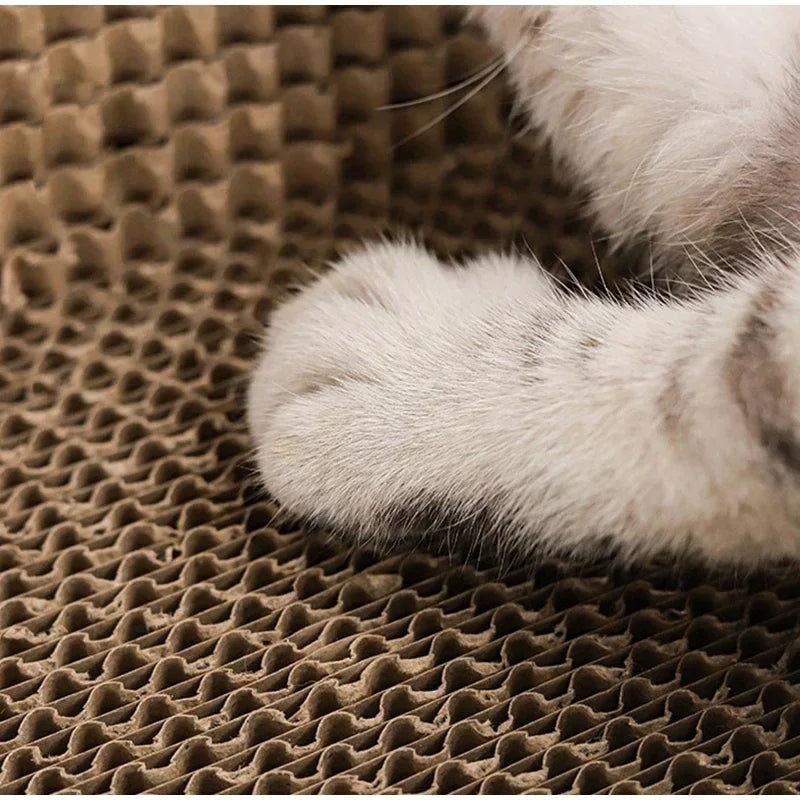 ScratchNest