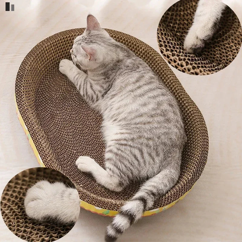 ScratchNest