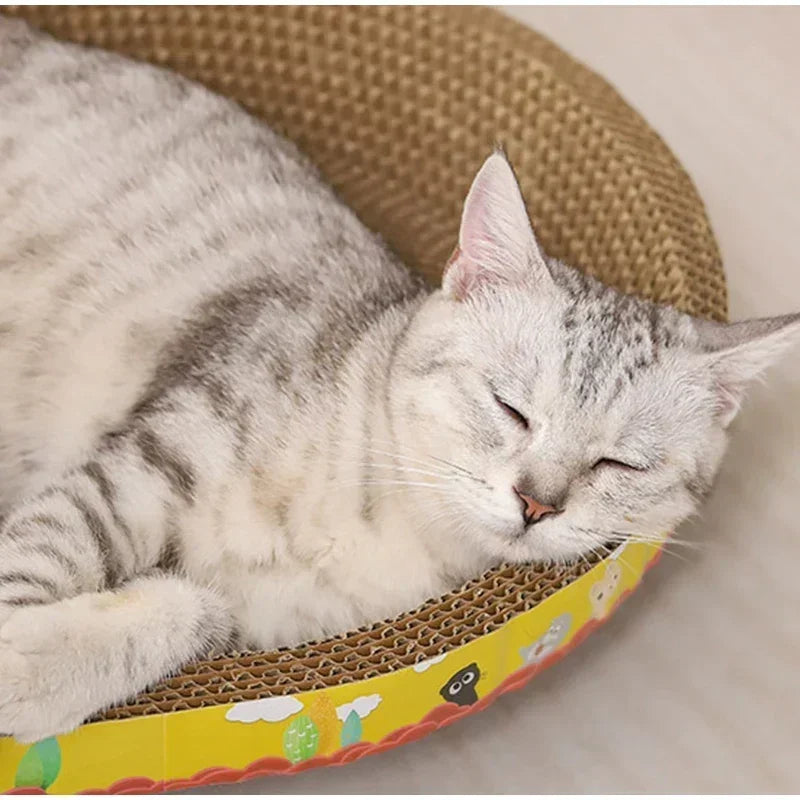 ScratchNest
